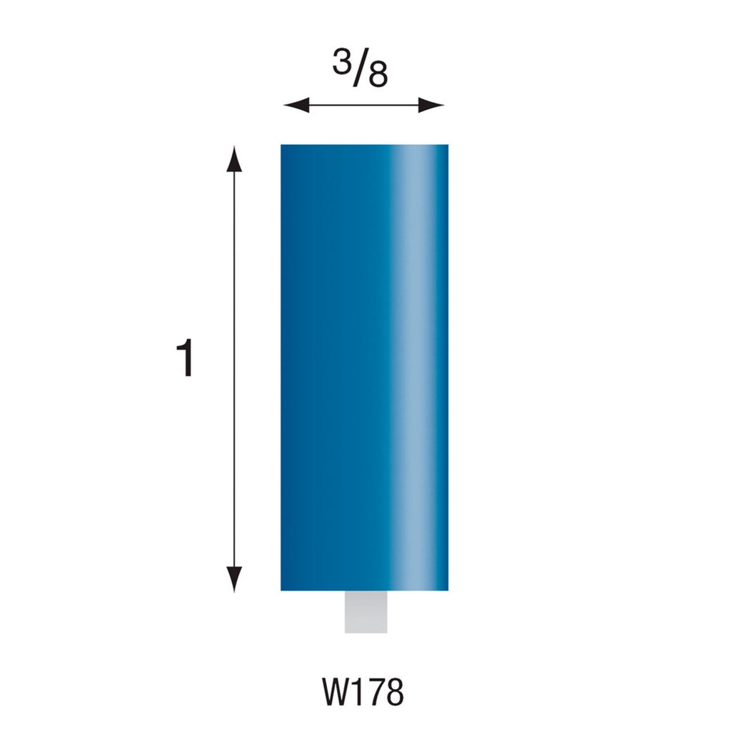 W160 Blue Mounted Points 1/8" Shank (Pkg of 24)