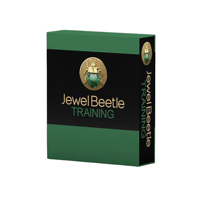[262-1515] JewelBeetle V.1 Beginner Training Class